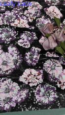 Tejido bordado de malla de seda de túle de 49 pulgadas floral para mujeres