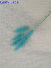 El cordón de la burbuja hizo punto la tela elástica de marfil de la arruga