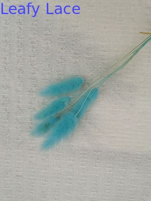 Bubble Lace Knitted Ivory Crinkle Stretch Fabric