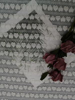 Tela mecánica linear del vestido de noche de la tela del encaje elástico del corazón blanco