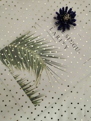 Tela metálica de marfil del brillo de Tulle Mesh Foil Printed Polka Dot