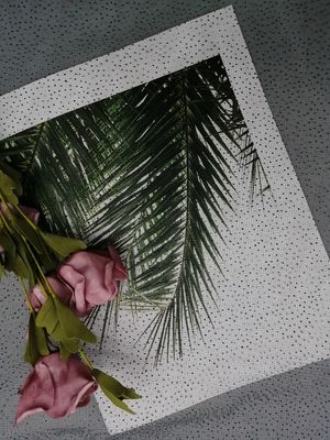 El negro Dot Glitter Tulle Mesh Foil del partido imprimió la tela