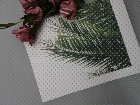 Polca reunida verde Dot Mesh Fabric del brillo de Tulle