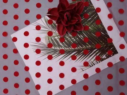 Polca grande roja Dot Tulle Flocked Mesh Fabric
