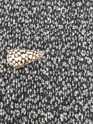 Crisantemo 100% Mesh Pleated Lace Fabric impreso poliéster