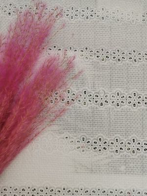 El Broderie linear bordado ojetea la tela 100% del camisón del algodón de la tela