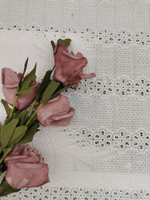 El Broderie linear bordado ojetea la tela 100% del camisón del algodón de la tela