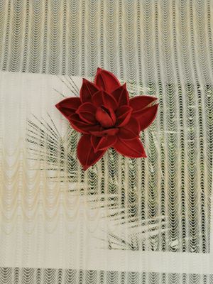 Tono linear atado del bordado de Geo - Tone Polyester Lace Trim