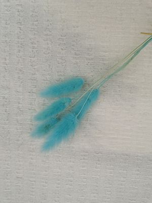 El cordón de la burbuja hizo punto la tela elástica de marfil de la arruga